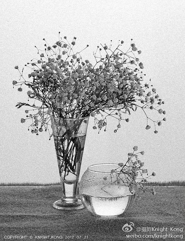 静物摄影玫瑰花，花卉摄影～！（图ZNjUxMTM3Ng==） - 其他摄影 - 站酷设计师Knight_kong原创素材 - 站酷ZCOOL