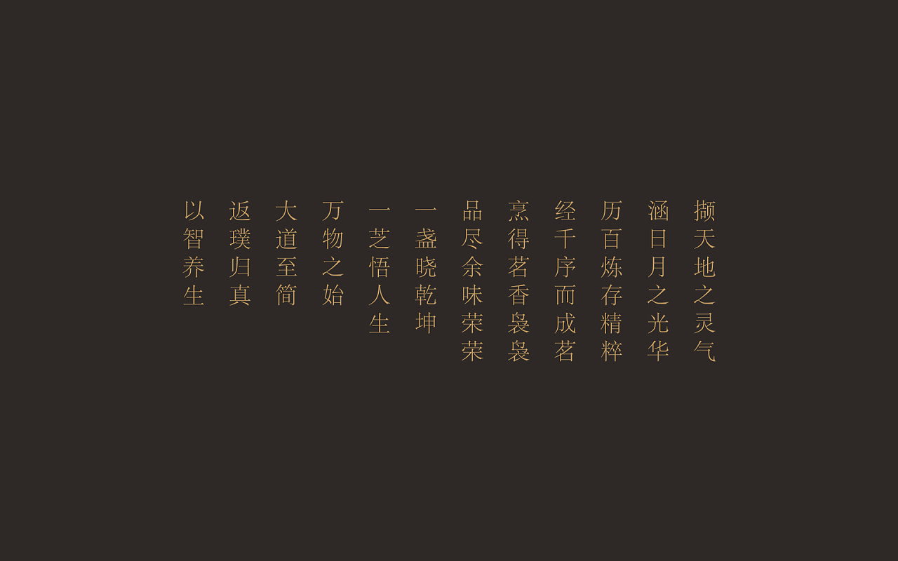 衡芝灵芝茶包装设计