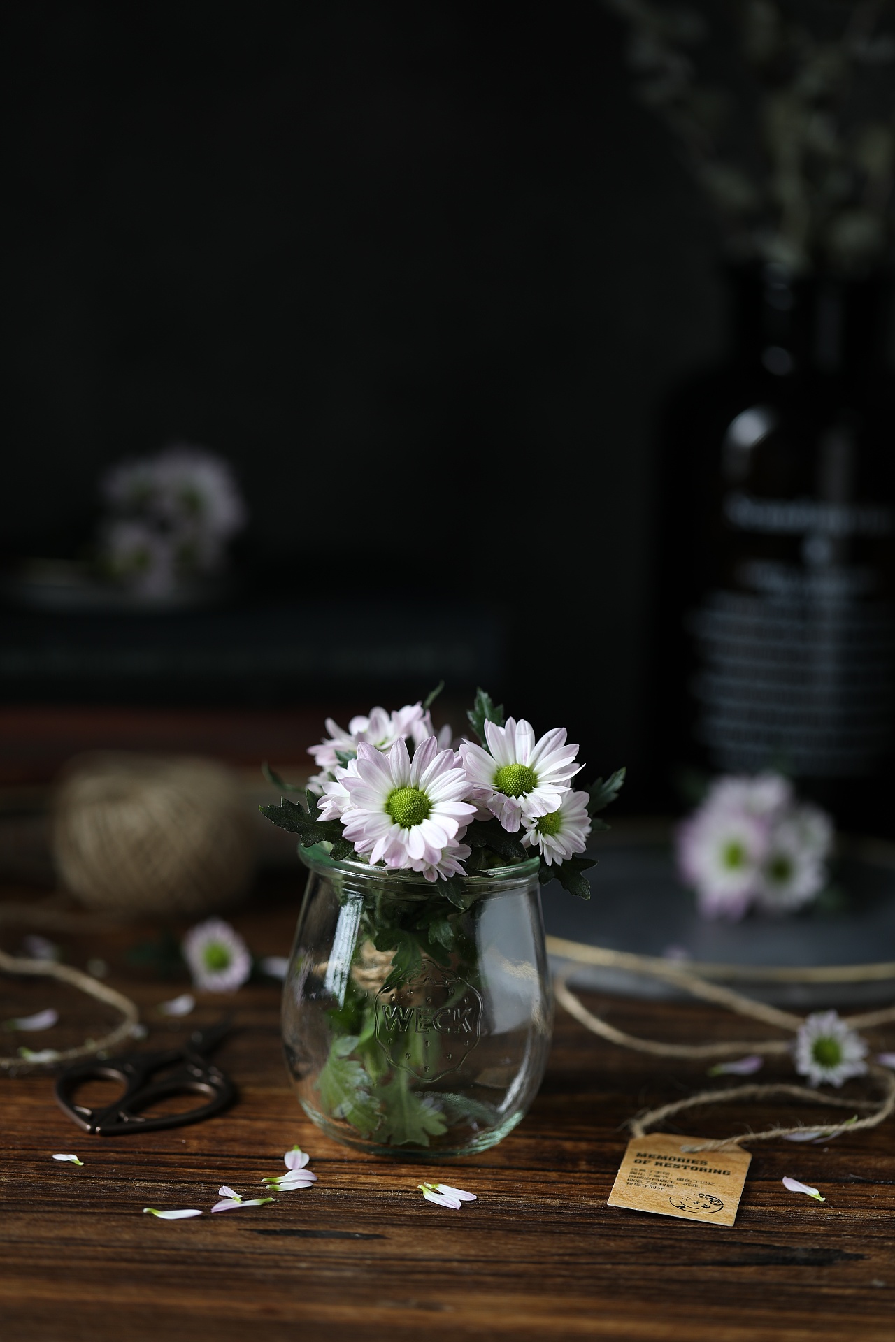 静物摄影_kelly静-站酷zcool