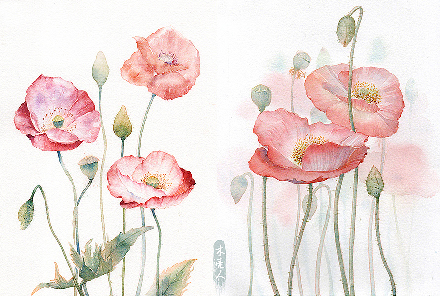 时隔两年的虞美人