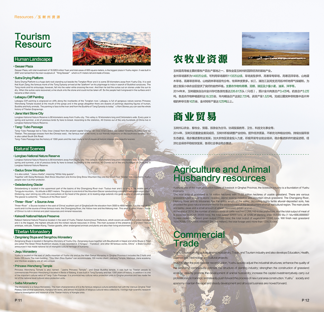 玉树藏族自治州尼泊尔招商手册设计