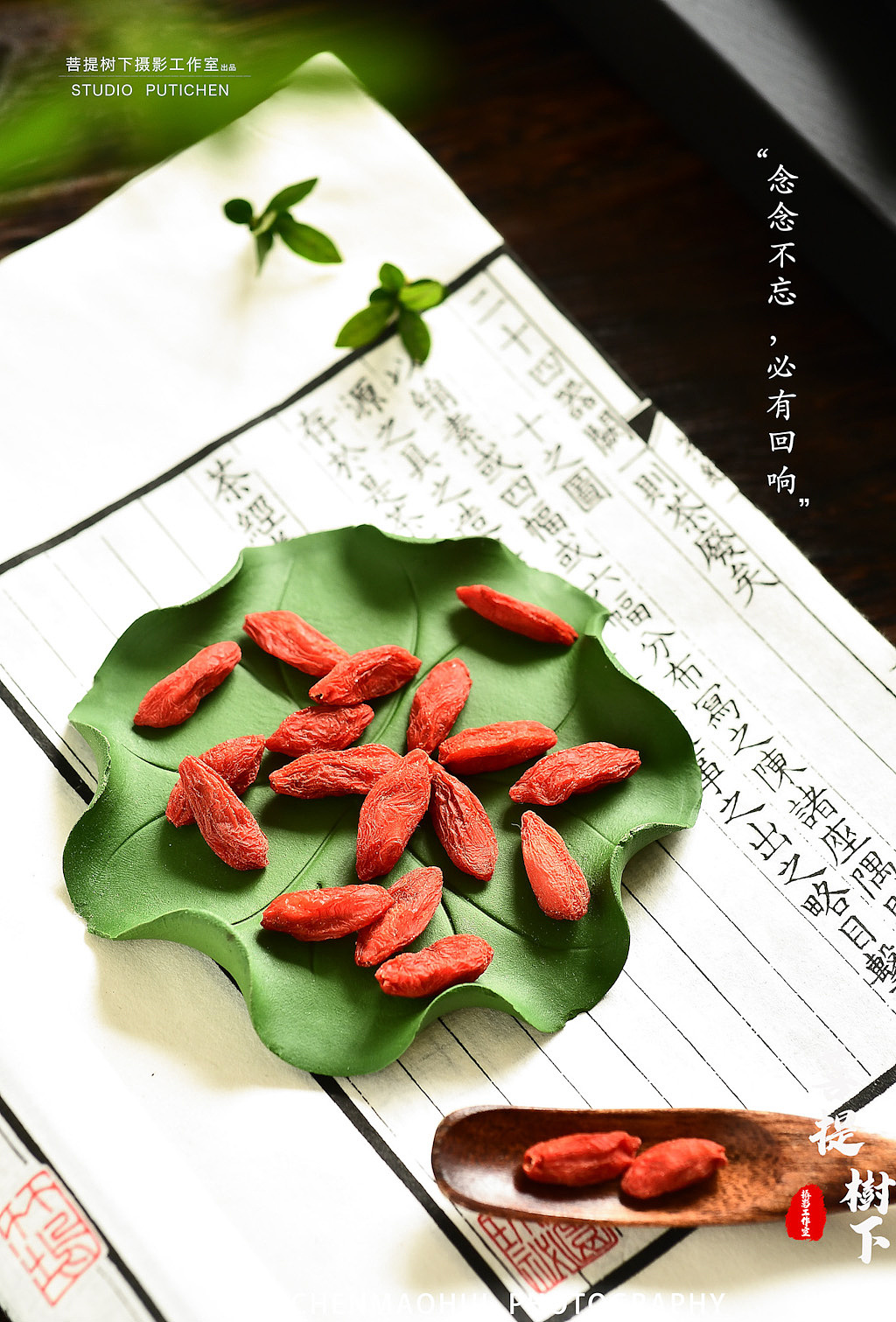 枸杞（图ZMjI2NzE5MTc2） - 产品摄影 - 站酷设计师摄影师陈茂辉原创素材 - 站酷ZCOOL
