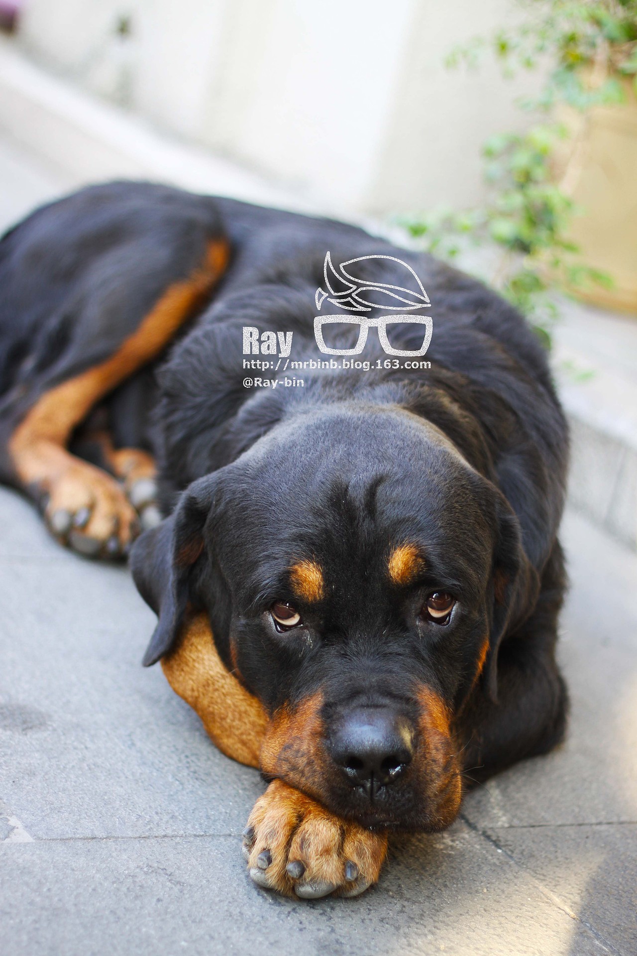 潮州·风光·（图ZNDU2MzA3Ng==） - 人文/纪实摄影 - 站酷设计师Huangbengb原创素材 - 站酷ZCOOL