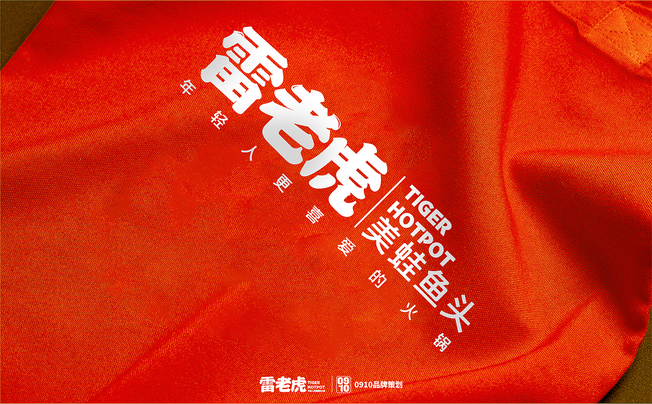 雷老虎VI/全案设计