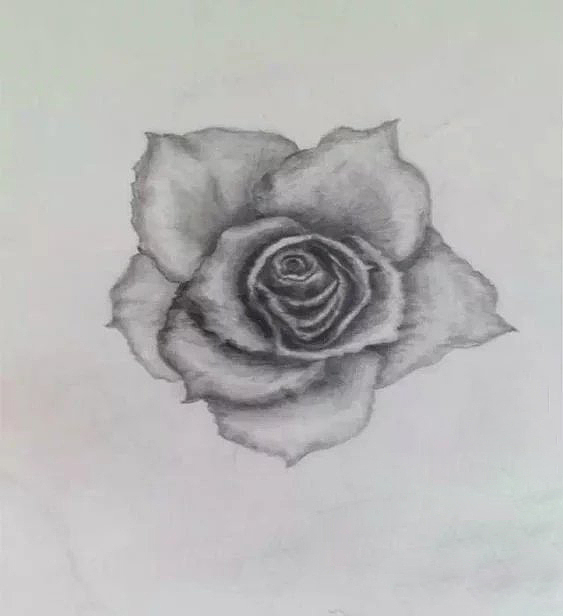 素描（圖ZNjg2MTkzNzY=） - 其他 - 站酷設(shè)計(jì)師舉頭三尺有Joan原創(chuàng)素材 - 站酷ZCOOL