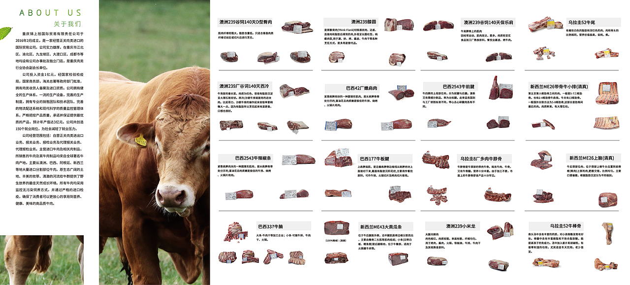 画册（图ZODY4MzYwNjA=） - 宣传物料 - 站酷设计师抱着吉他的剑客原创素材 - 站酷ZCOOL