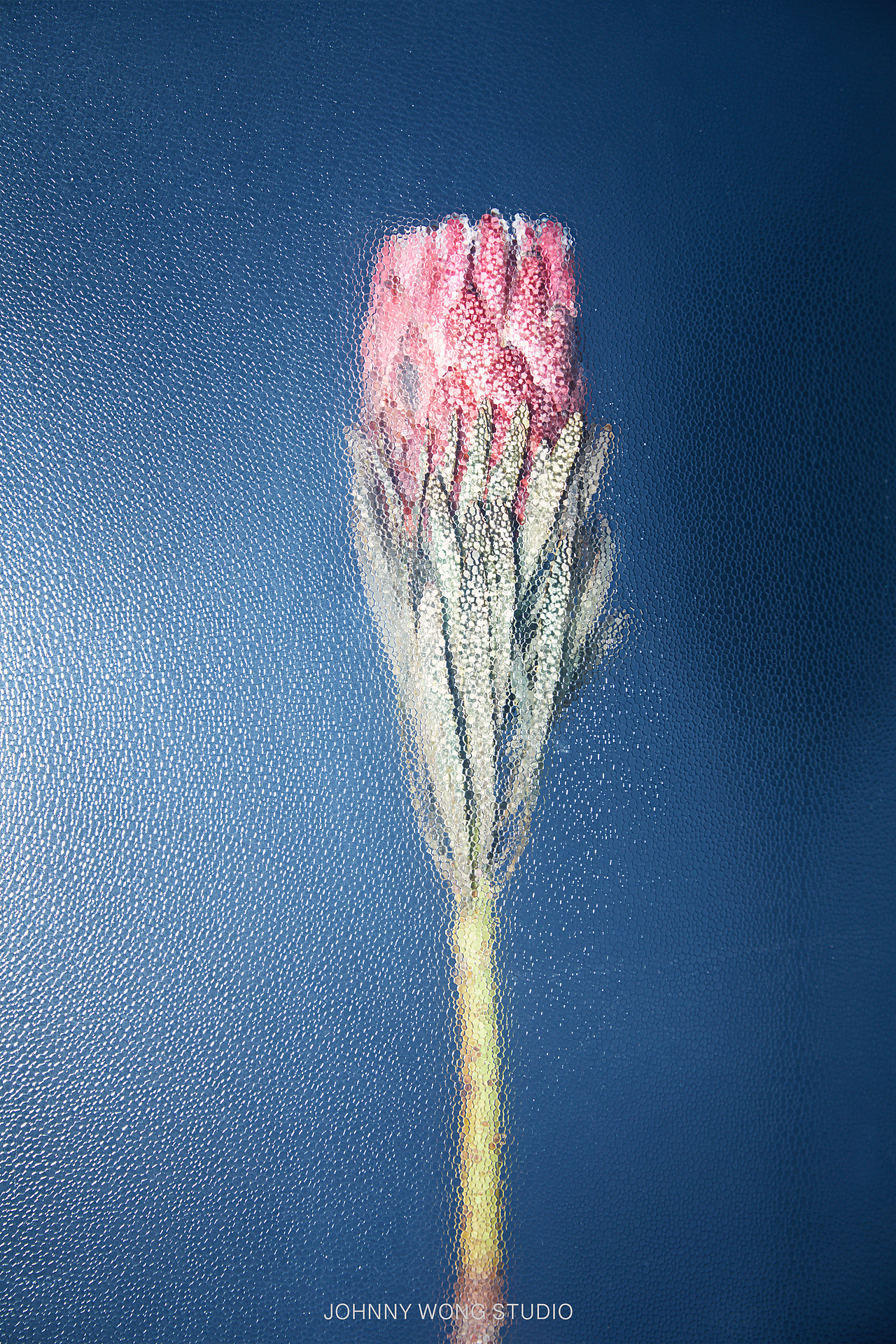 攝影師JohnnyWong-杰克林服裝拍攝（圖ZMTc4MjEzMjky） - 其他服裝 - 站酷設(shè)計師Z29581398原創(chuàng)素材 - 站酷ZCOOL