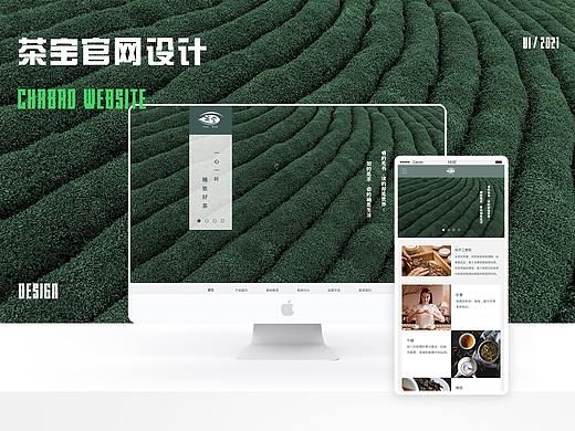 网站官网作品集