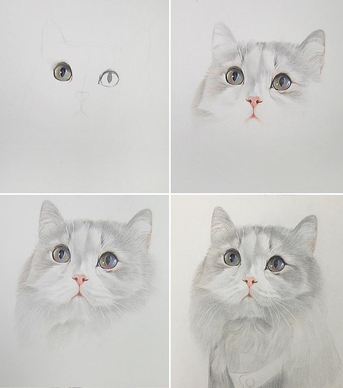 彩铅画猫猫约稿