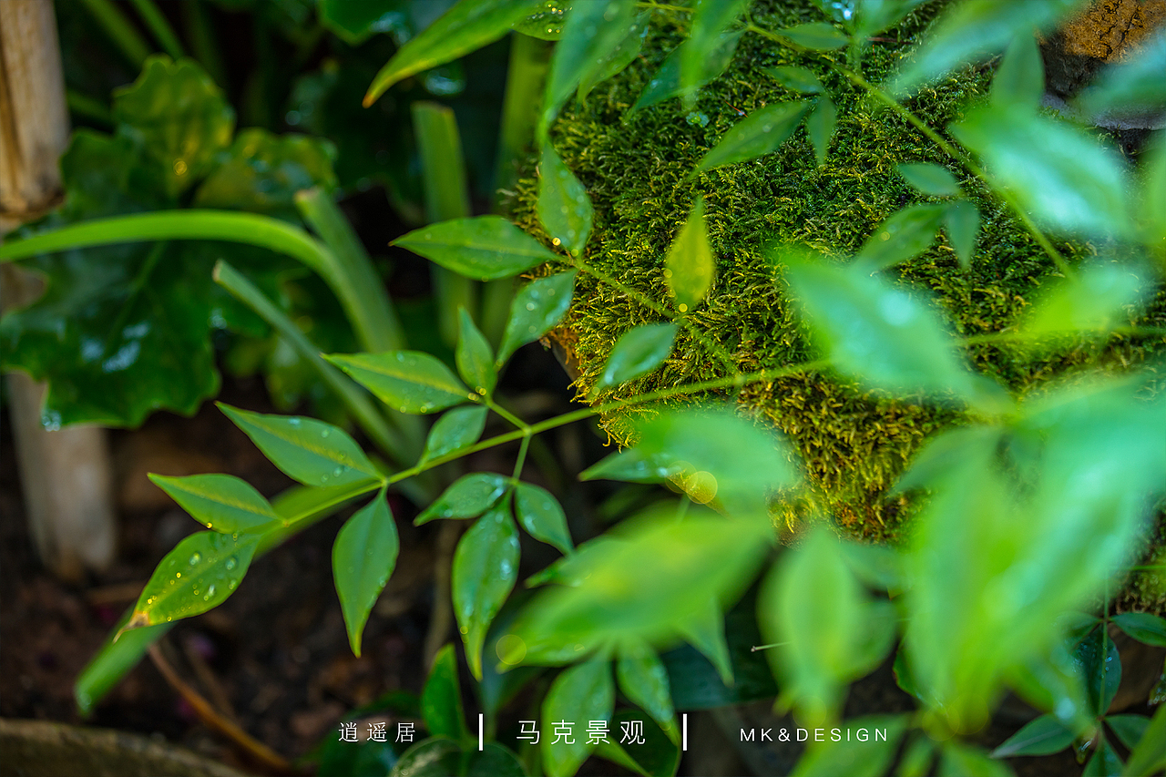 逍遥居（图ZNDk2ODg0MzI=） - 景观设计 - 站酷设计师biupiu原创素材 - 站酷ZCOOL