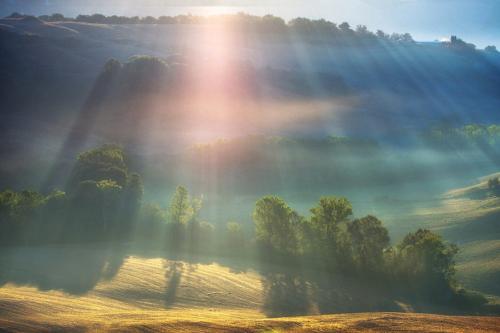 pei她笑的个人主页（封面预览） - 主页封面设置 - 站酷设计师pei她笑原创素材 - 站酷ZCOOL