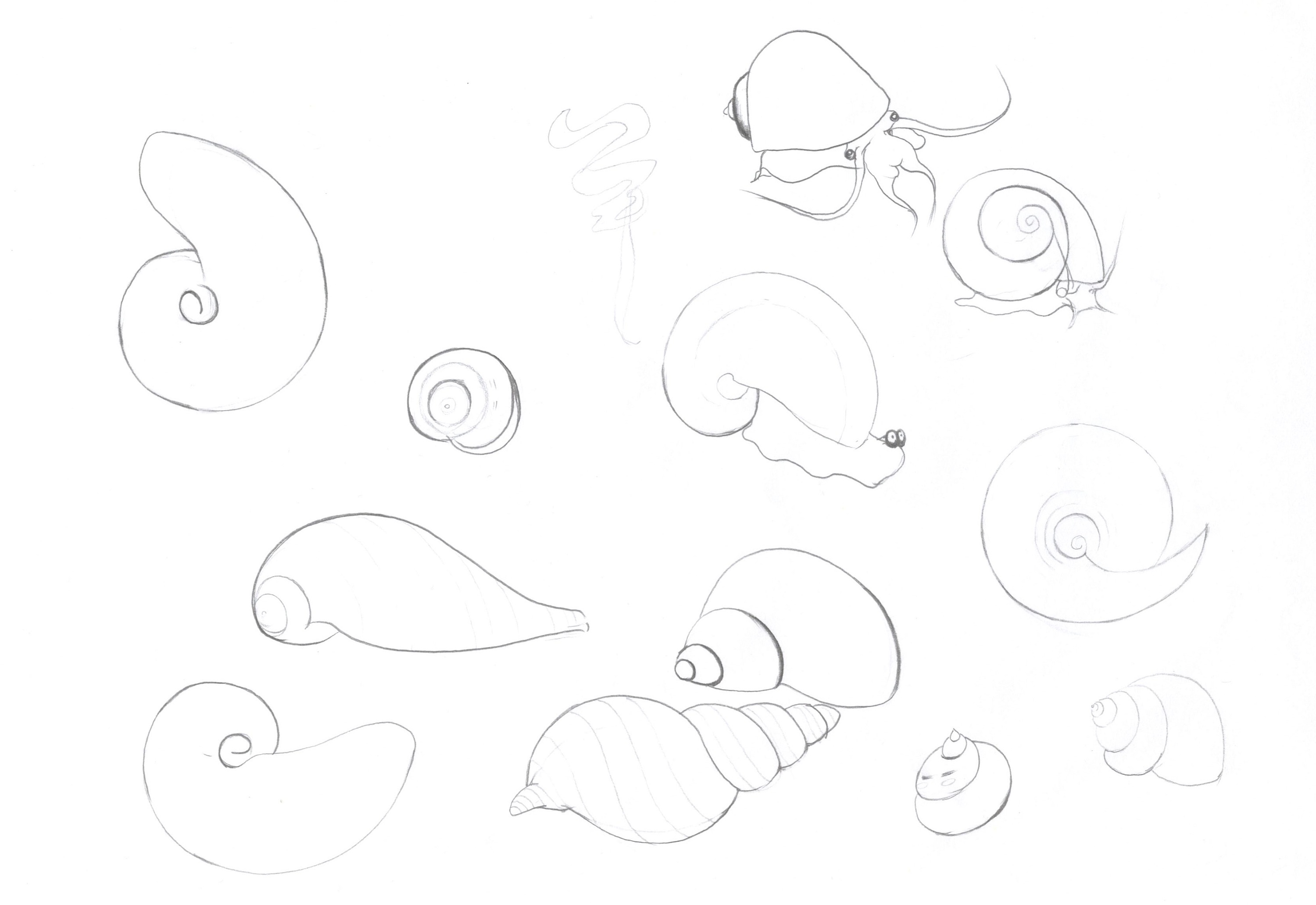 蜗牛仿生设计手绘图片