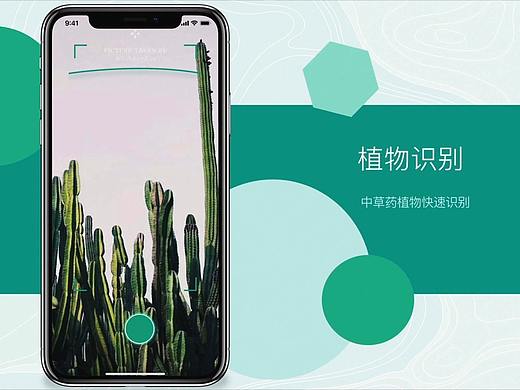 医疗中草药app展示动画