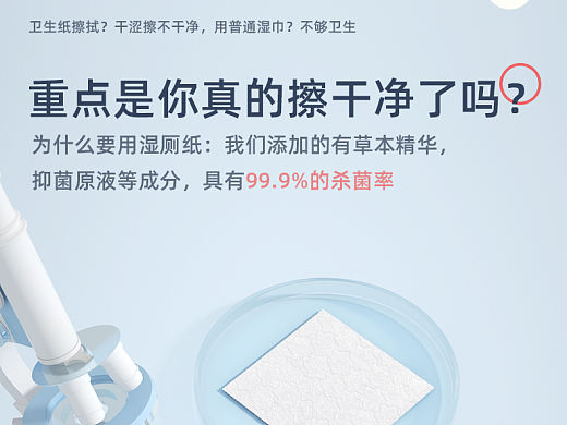 湿厕纸