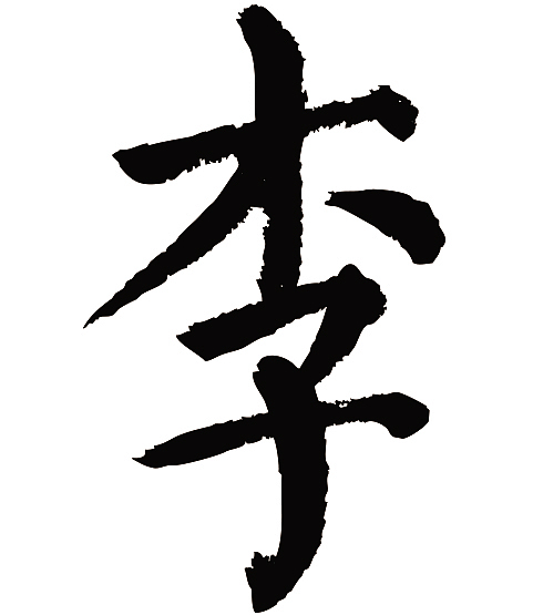 常用1000字简繁体李