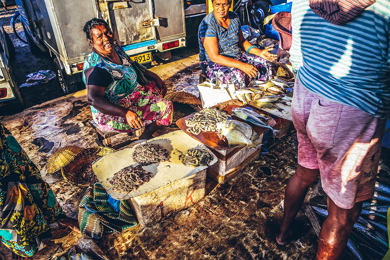 斯里兰卡尼甘布鱼市清晨随拍