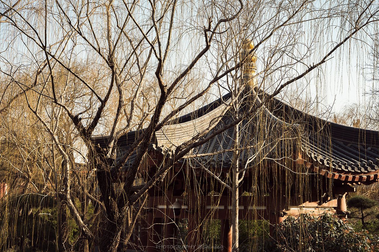 西安游记 华清宫