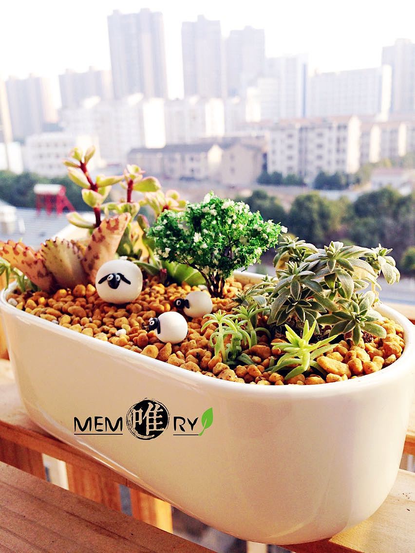 【多肉拼盘-三羊闹森林】（图ZMjY2NjQ5NjA=） - 其他手工艺 - 站酷设计师NC_NickWu原创素材 - 站酷ZCOOL