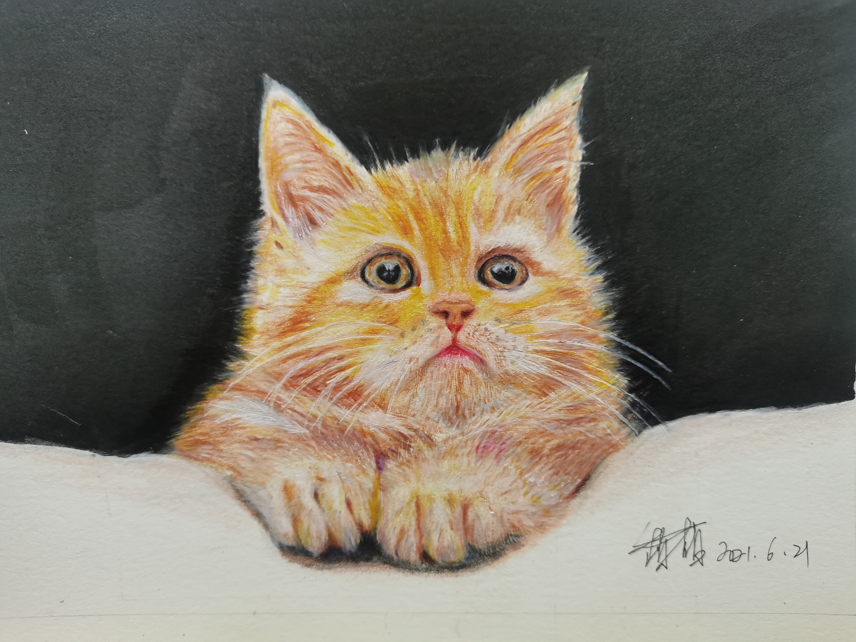 彩铅动物|纯艺术|绘画|tqy0901 - 原创作品 - 站酷 (zcool)