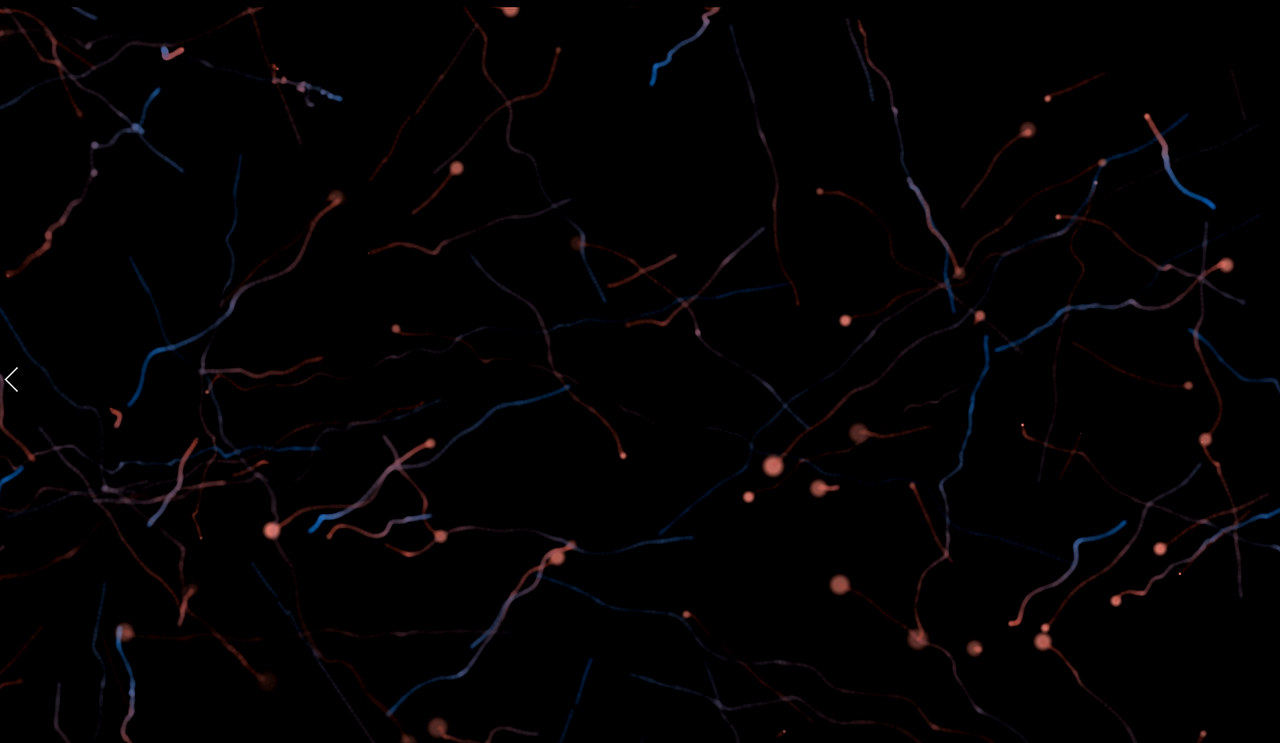 BRAIN 神經(jīng)元發(fā)散效果（圖ZMTQ5NjQ5NzU2） - 影視后期 - 站酷設計師認真真原創(chuàng)素材 - 站酷ZCOOL