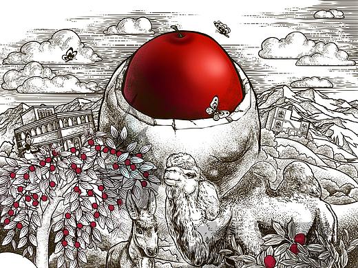 奶枣豆--新疆特产，礼品首选