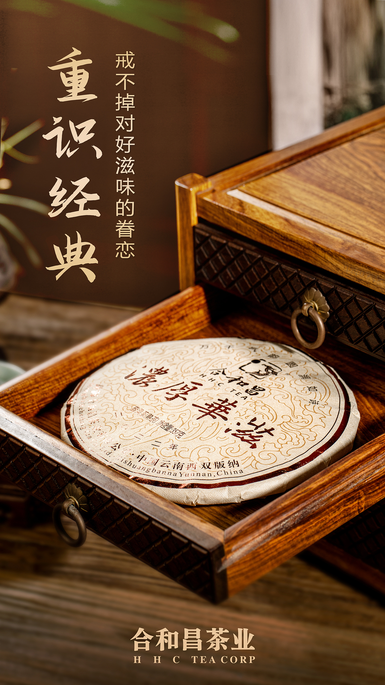 浓厚华滋普洱茶产品海报