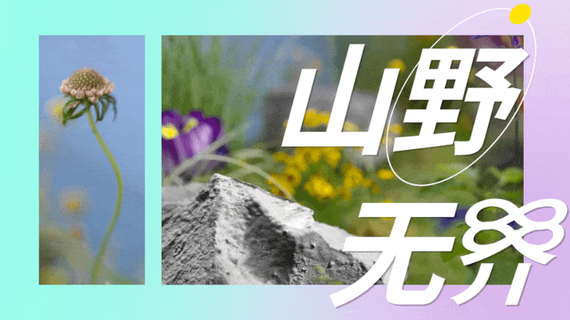 创意视觉『 森马｜山野系列童鞋 』✖ 新罐头（图ZMzAxMTk3MTky） - 产品摄影 - 站酷设计师新罐头视觉策略原创素材 - 站酷ZCOOL