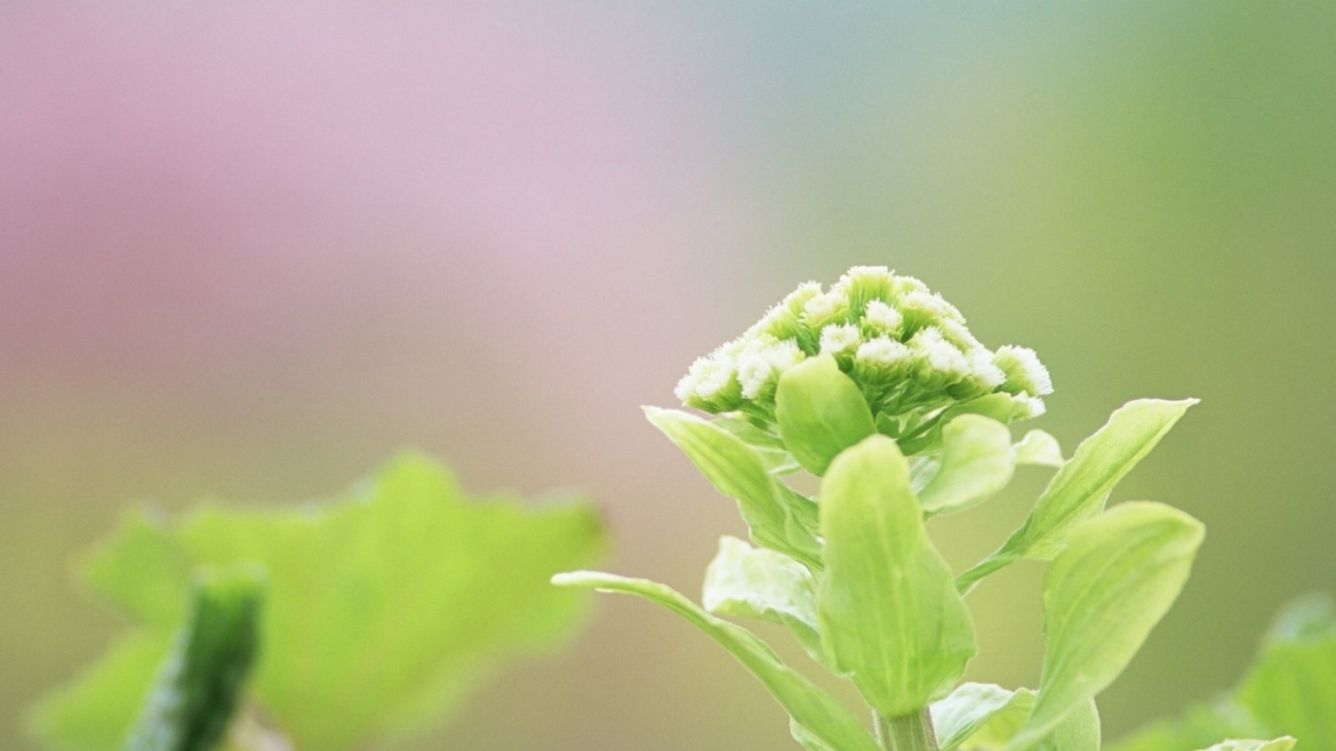 ZYchang的个人主页（封面预览） - 主页封面设置 - 站酷设计师ZYchang原创素材 - 站酷ZCOOL