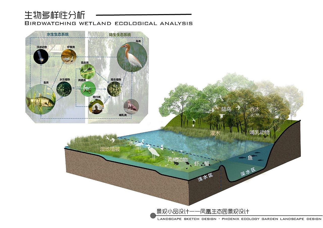 凤凰生态园景观设计（图ZNzg0NTU5NzY=） - 景观设计 - 站酷设计师调色板22原创素材 - 站酷ZCOOL