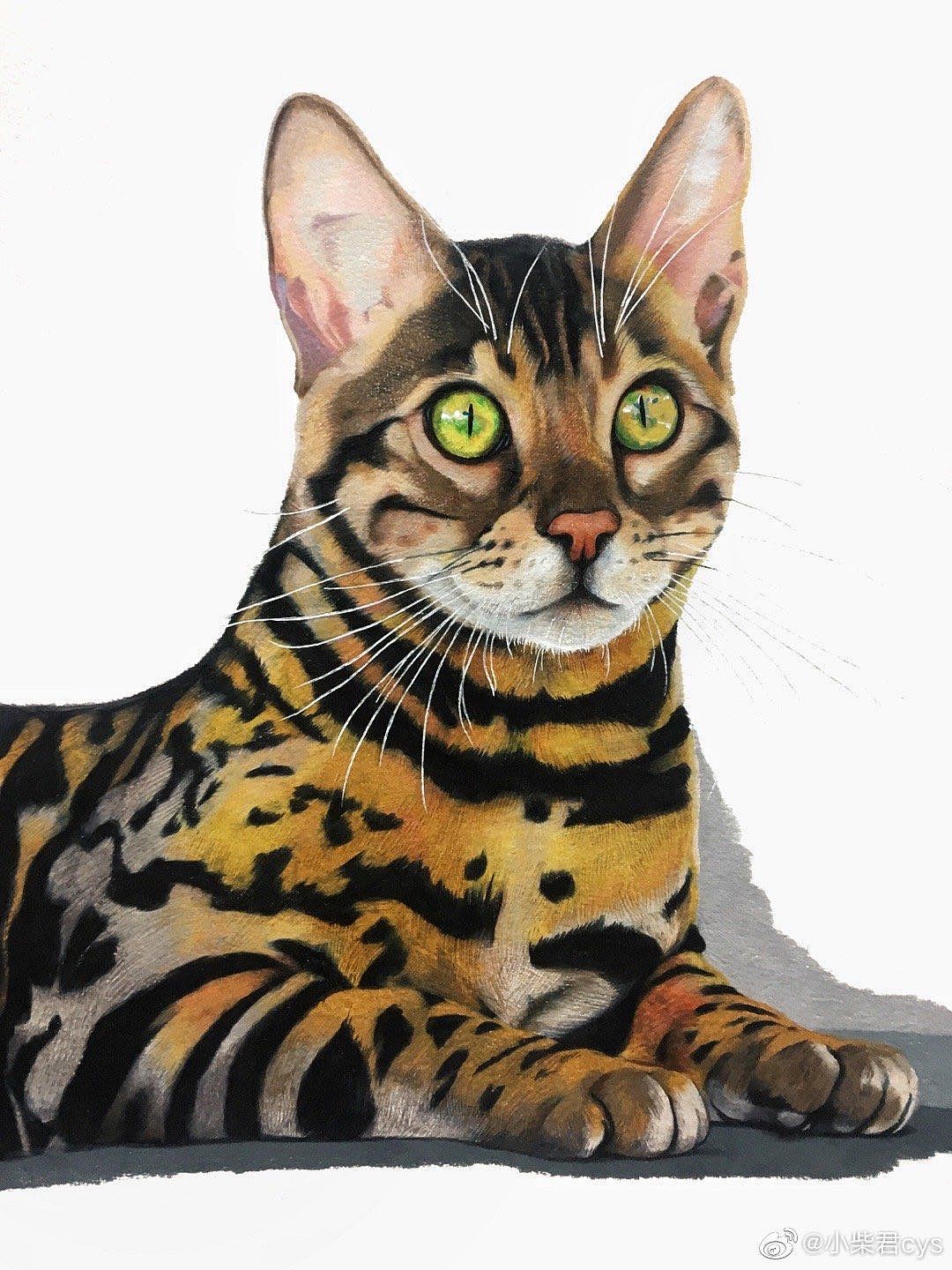 动物不凶猛——手绘动物集合(图ZMjAyODkyNzcy) - 绘画 - 站酷设计师柴永生原创素材 - 站酷ZCOOL