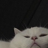 _行云的头像