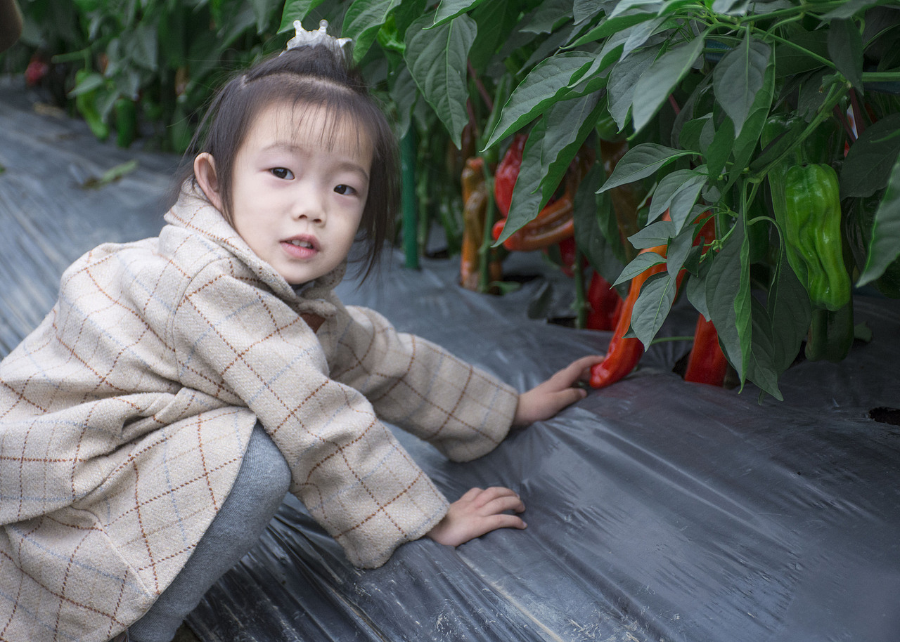 菜园里的小可爱——抓拍邻居家的小女孩