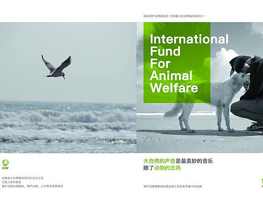 畫冊(cè)-保護(hù)動(dòng)物（個(gè)人主頁(yè)-ZMjQ1NTkyMzY=） - 書籍/畫冊(cè) - 站酷設(shè)計(jì)師草莓味的貓er原創(chuàng)素材 - 站酷ZCOOL