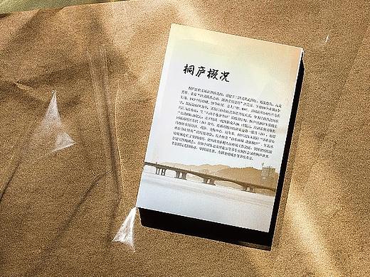 岐山 桐庐挂职政府画册