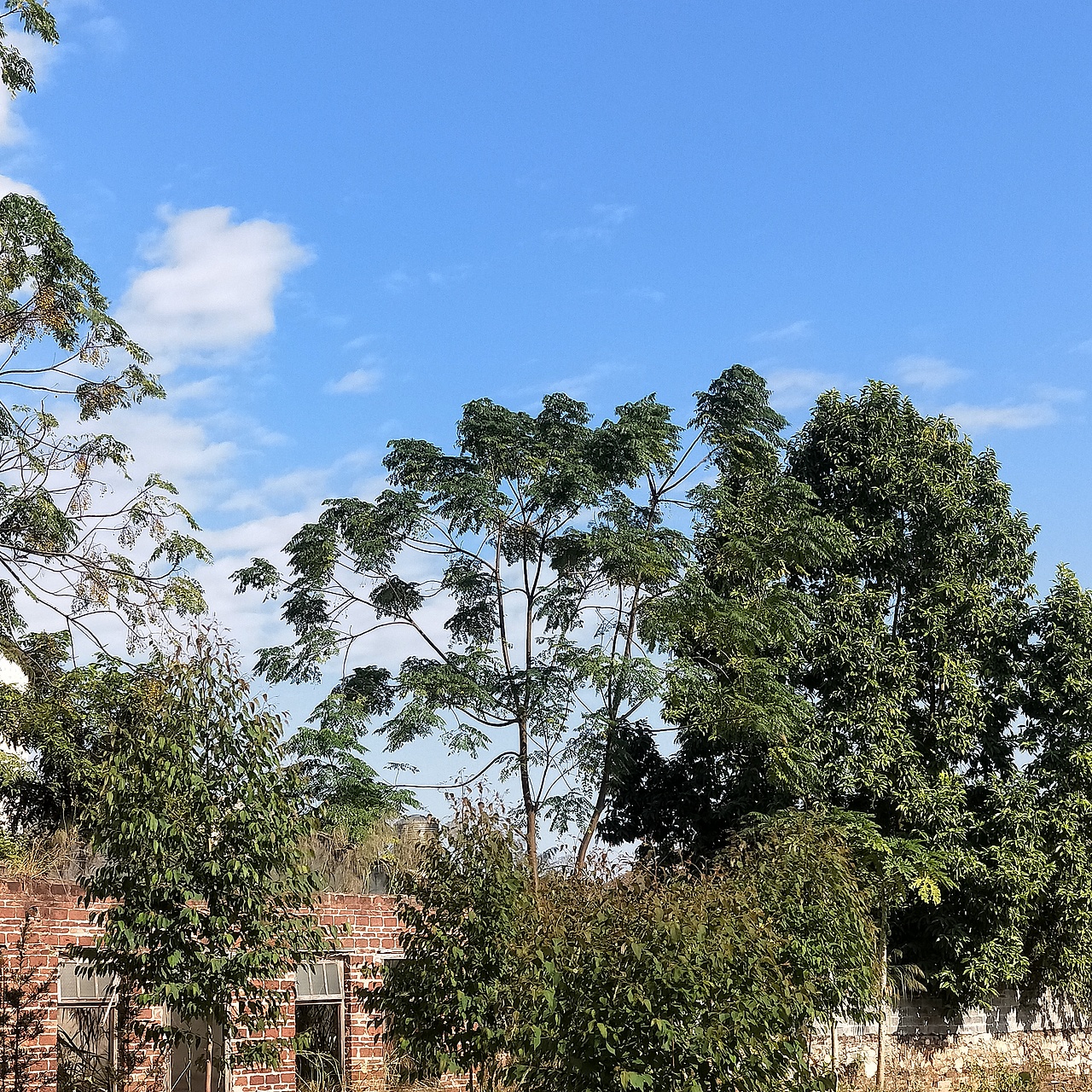 午秋🍂（图ZMTg0OTY2NjAw） - 风光摄影 - 站酷设计师画画不白原创素材 - 站酷ZCOOL