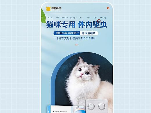 2020-2021作品展示（一）