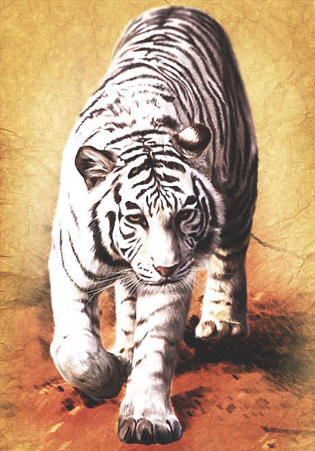 460_657竖版 竖屏