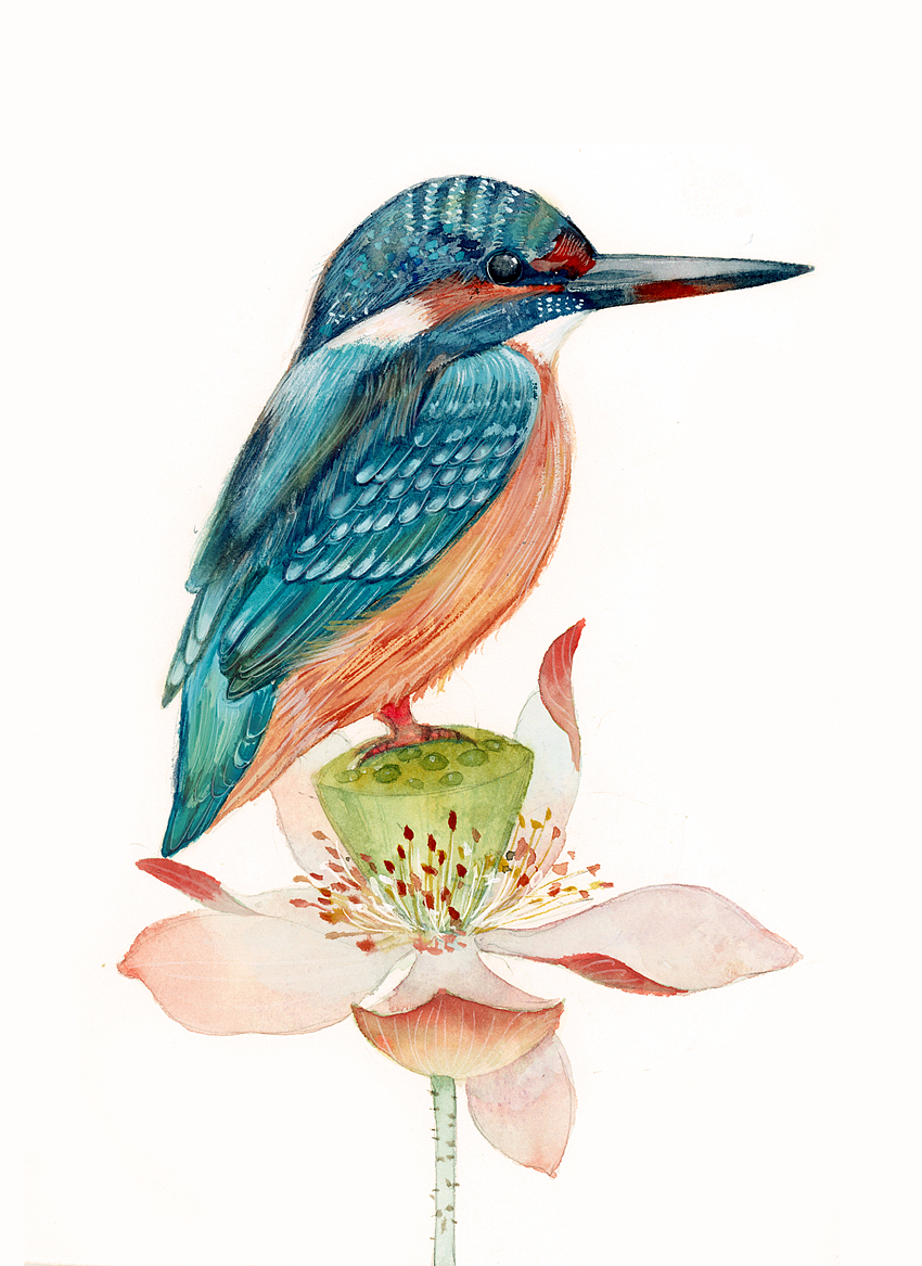 小鸟~（图ZMTY1NzYyMDAw） - 商业插画 - 站酷设计师瑶背背原创素材 - 站酷ZCOOL