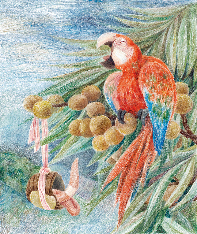 小猪和他的朋友 之宁静沼泽