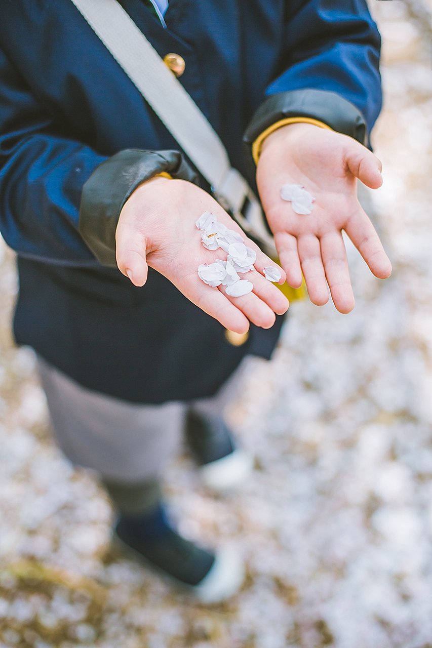 陪我去看樱花雨（图ZMTUzMTk4Njk2） - 人像摄影 - 站酷设计师沐小圆儿杂记原创素材 - 站酷ZCOOL
