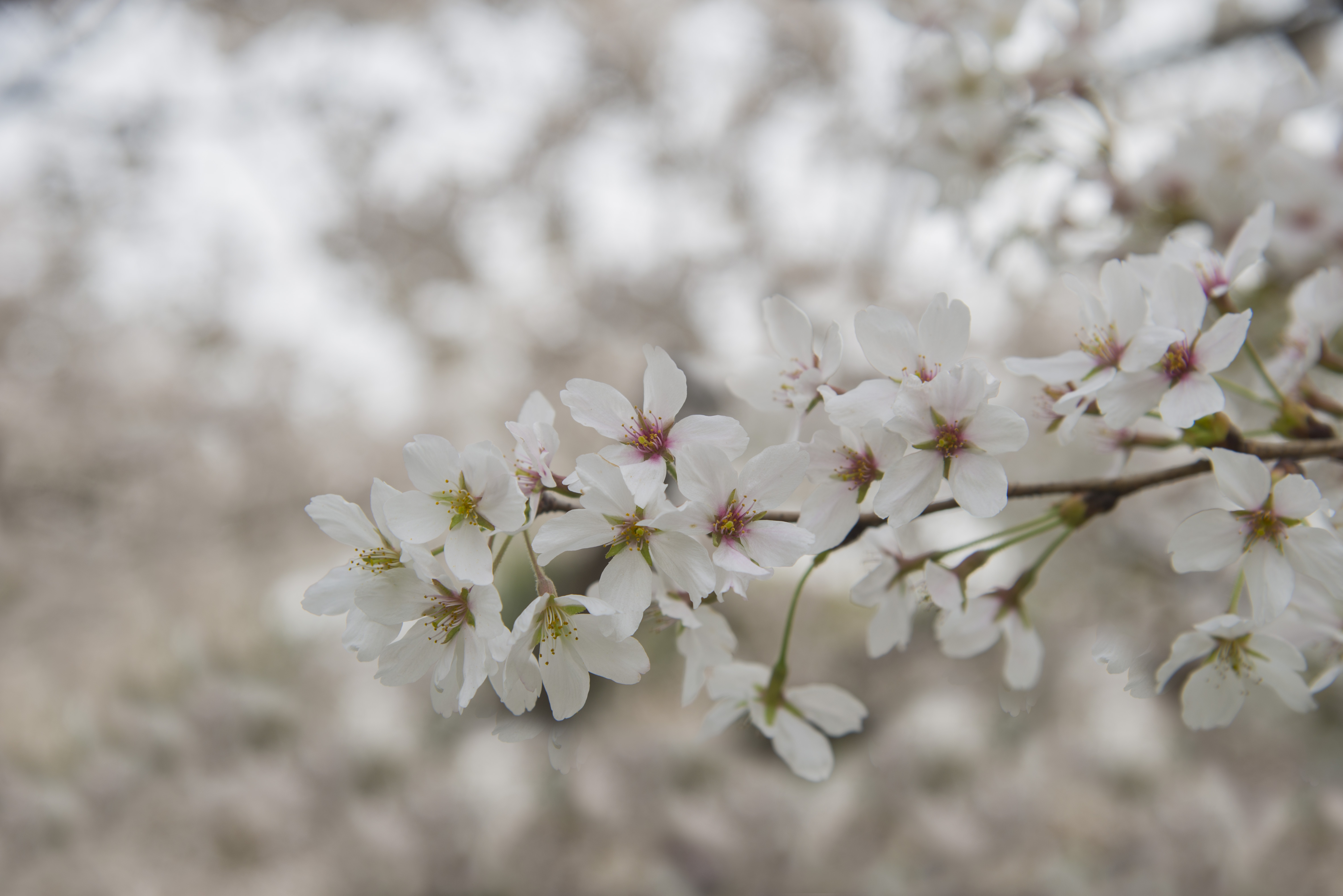 君顾vigil的个人主页（封面预览） - 主页封面设置 - 站酷设计师君顾vigil原创素材 - 站酷ZCOOL