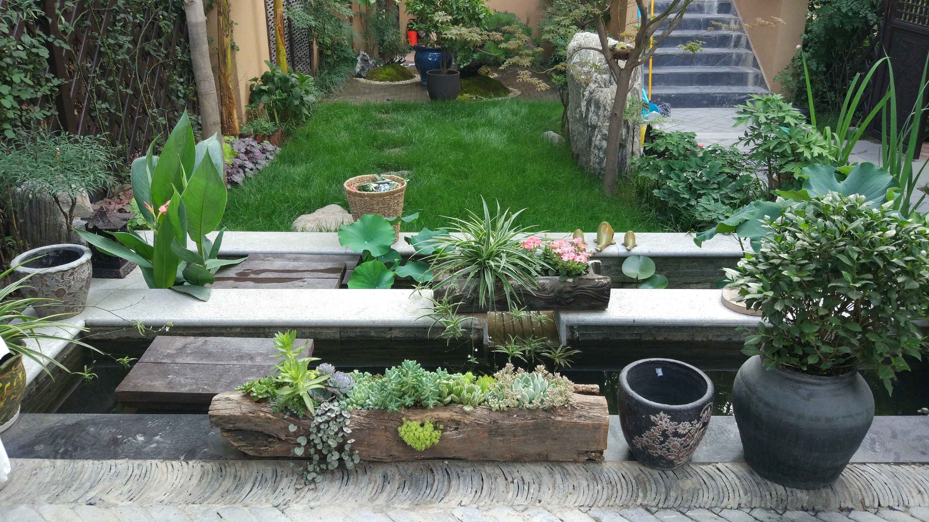 龙湖提醍 庭院花园