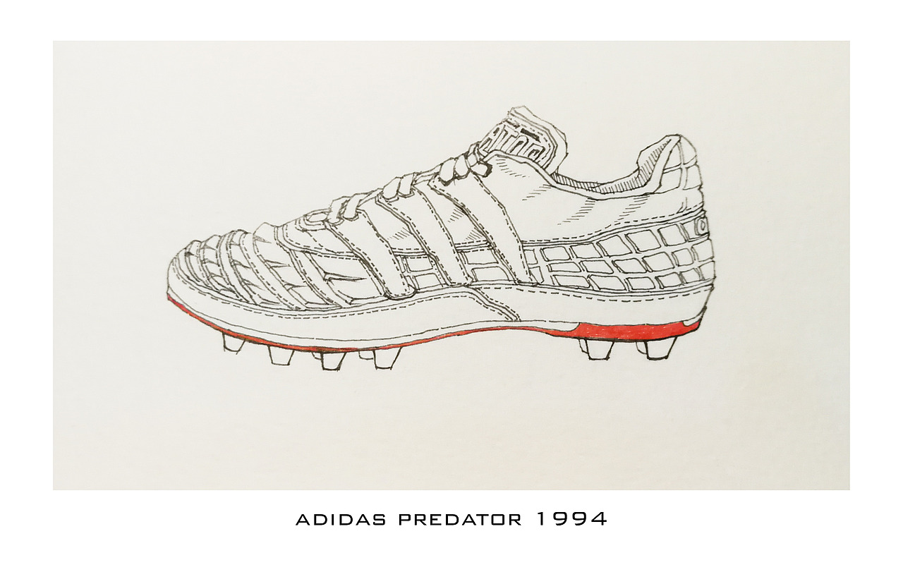 猎鹰专题 Predator Famliy · 2018（图ZMTI5NjAxNzQw） - 绘本 - 站酷设计师OANNAO原创素材 - 站酷ZCOOL