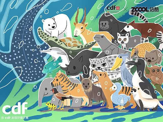 在cdf发现环保之美——让我们保住生物多样性