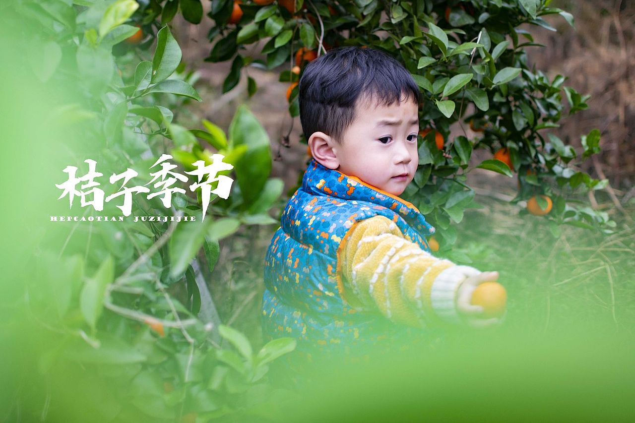 砂糖橘🍊🍊🍊🍊