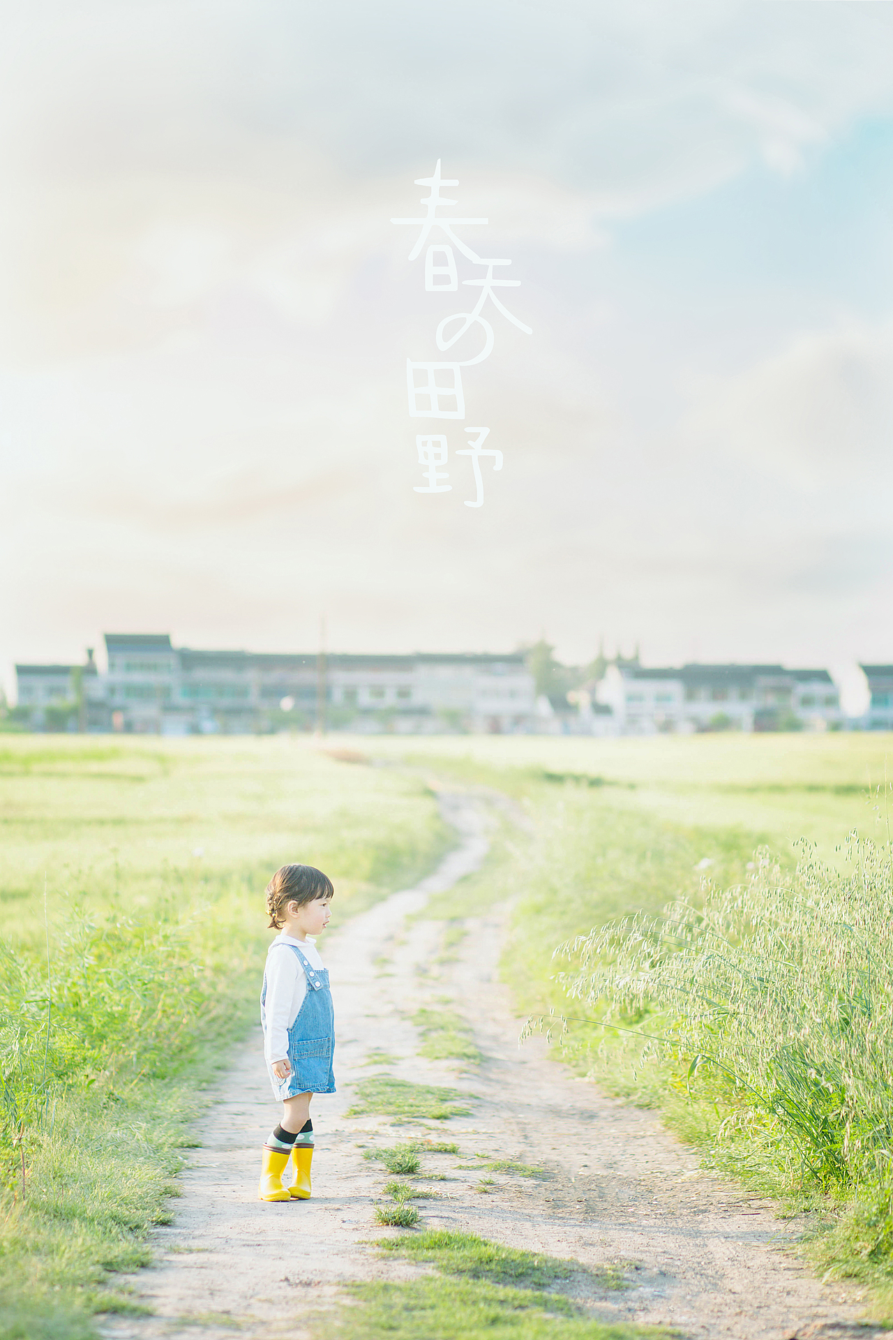 春天的田野