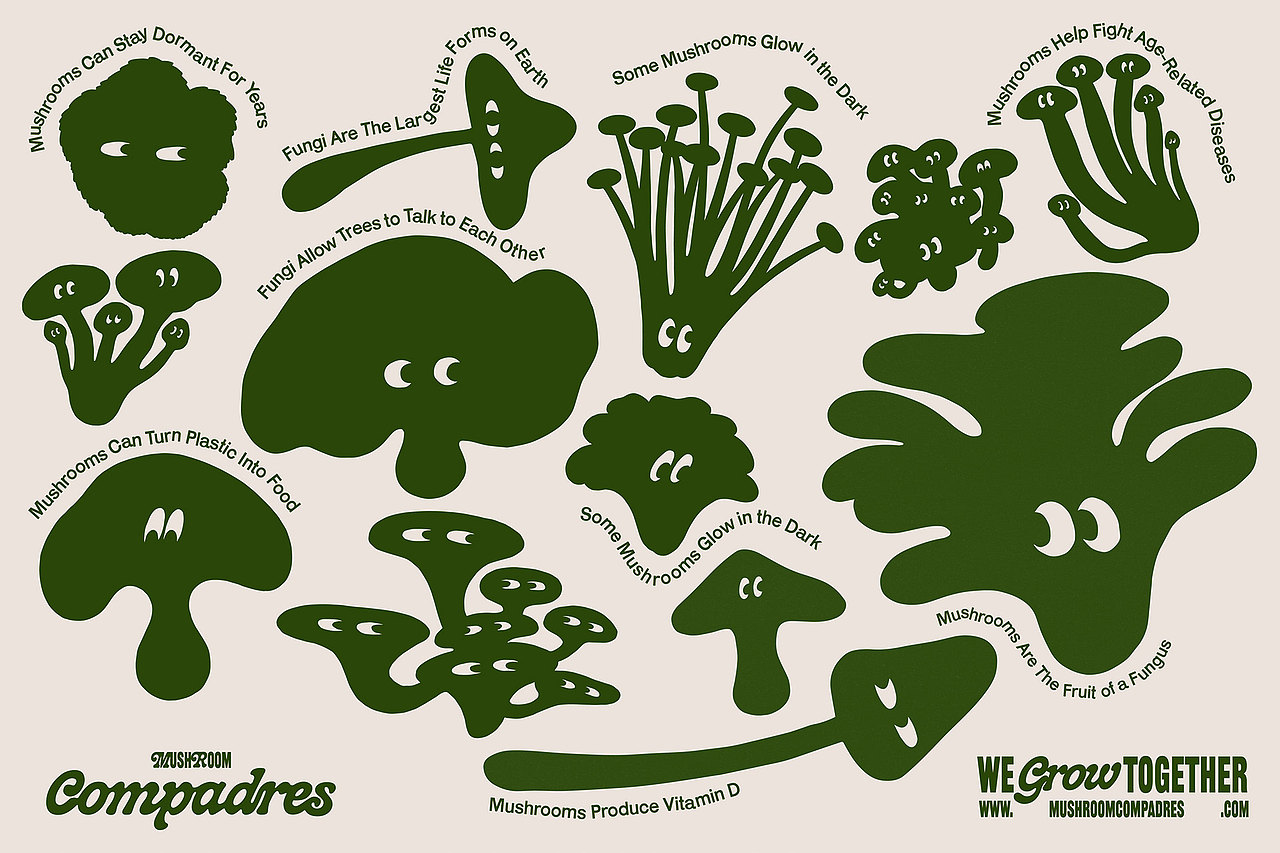 设计分享/Mushroom Compadres（图ZMzQwNTA3NjY4） - 品牌 - 站酷设计师BranD杂志原创素材 - 站酷ZCOOL