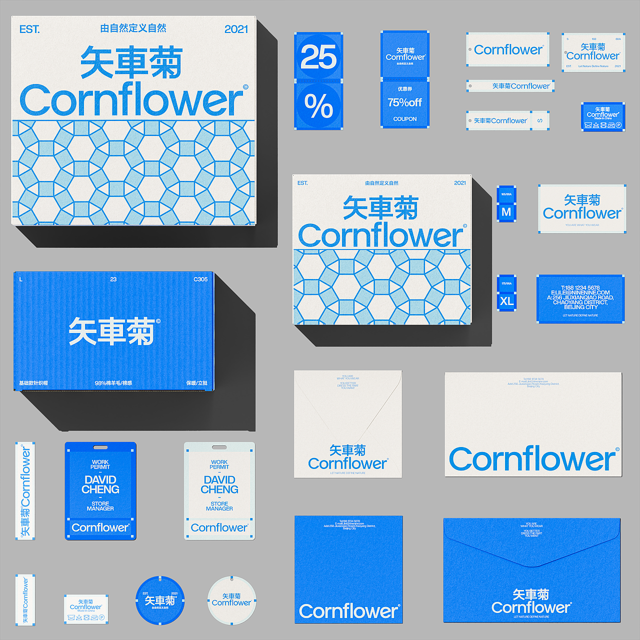 矢車菊Cornflower-由自然定义自然