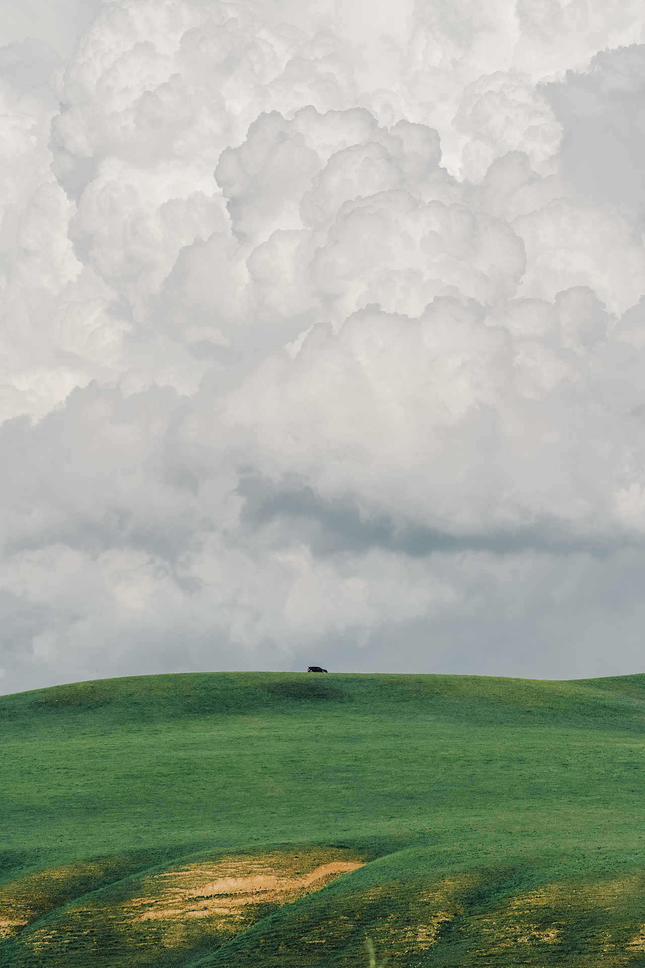 内蒙《放风的羊》品牌广告拍摄