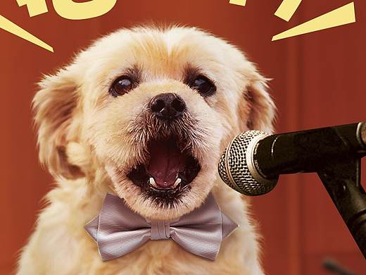 宠物台历（个人主页-ZMjQ5ODIyMzY=） - 海报 - 站酷设计师斐斐呀原创素材 - 站酷ZCOOL